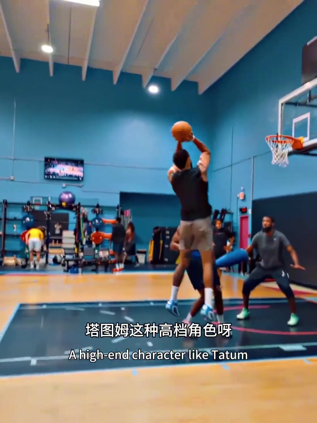 🐋：塔图姆是高级货，拿浓眉都换不来🤔
