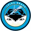 勇敢螃蟹
