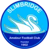 史利布利德格