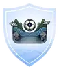 罗甸足协